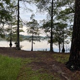 Review photo of Martin Dies, Jr. State Park Campground by Aaron D., September 9, 2022