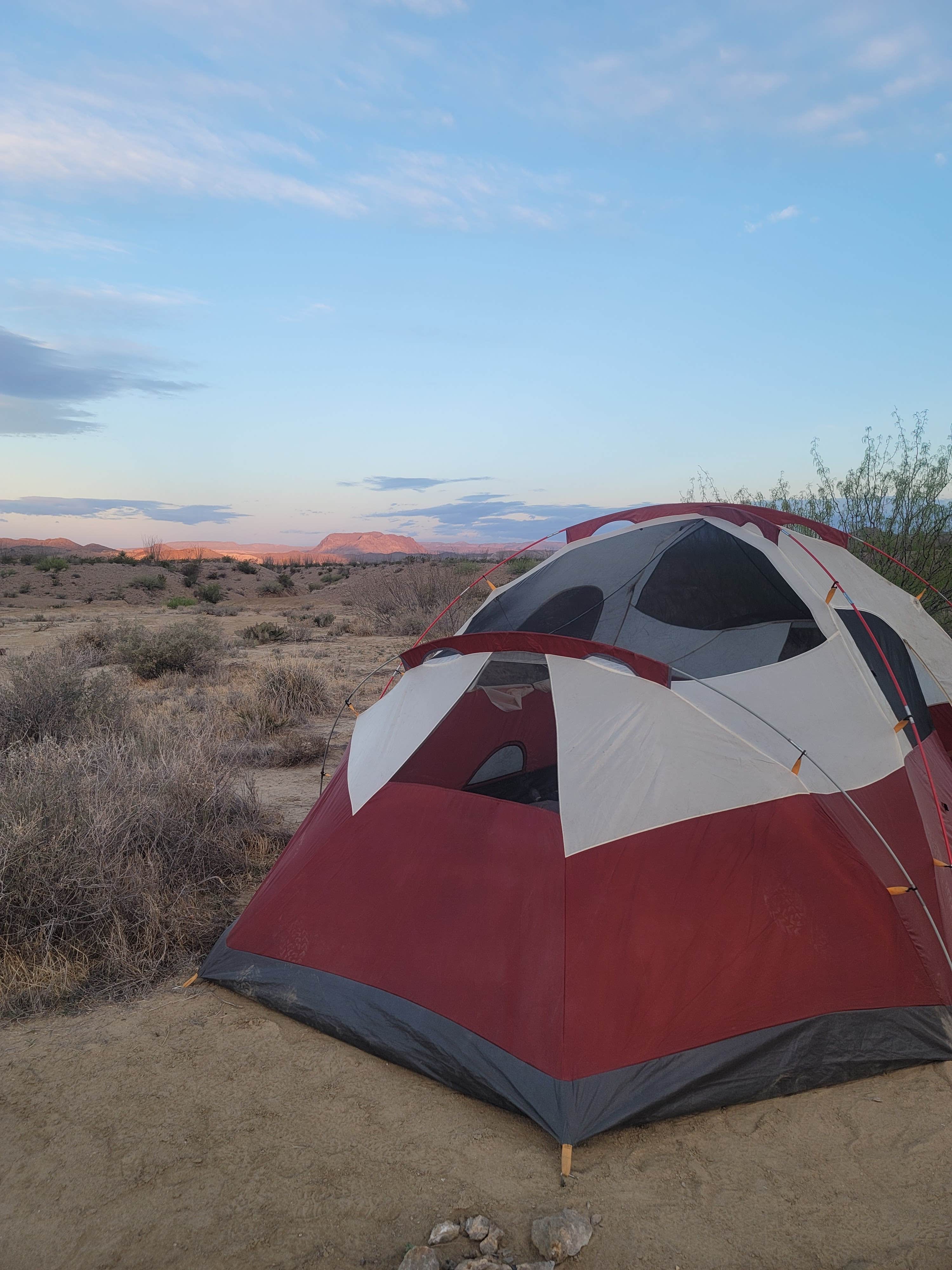 Camper submitted image from Coyote Crossing - 4
