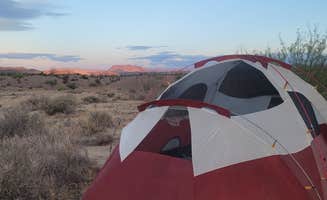 Shea M.'s photo at Coyote Crossing near Terlingua, TX