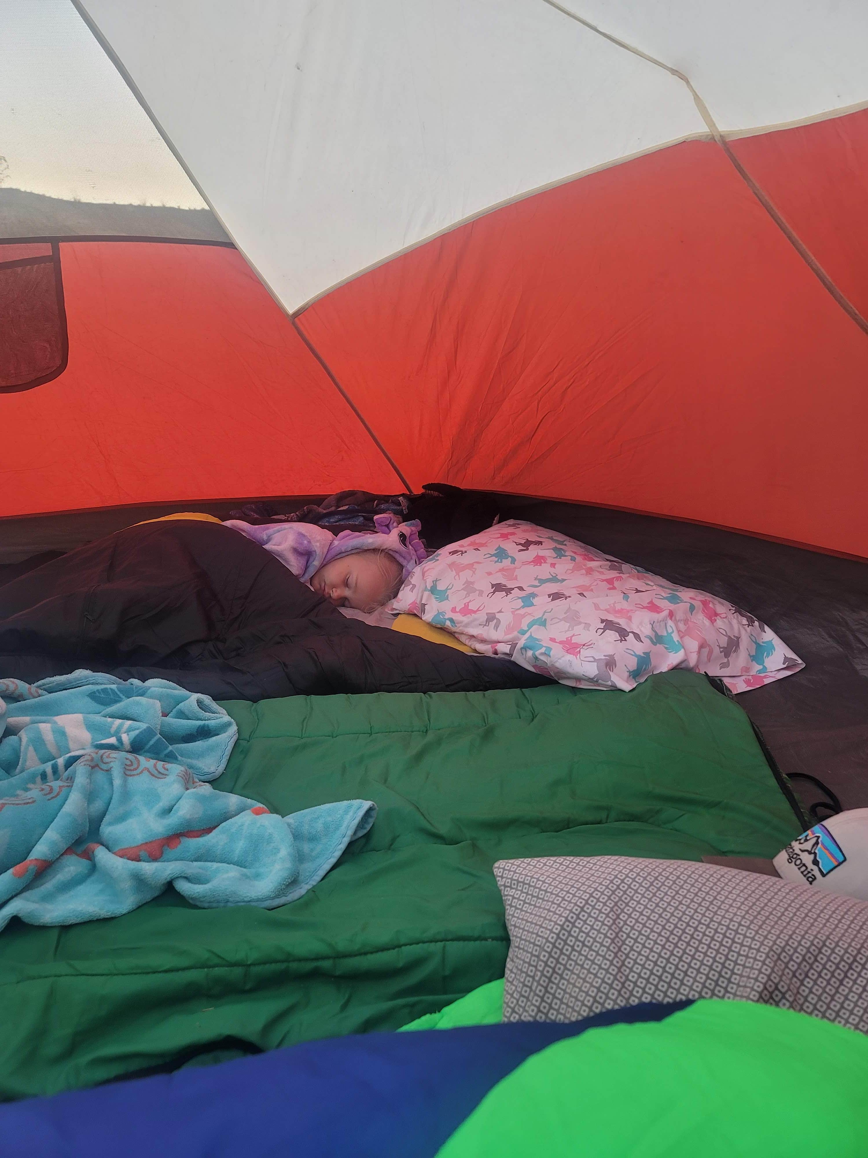 Camper submitted image from Coyote Crossing - 5