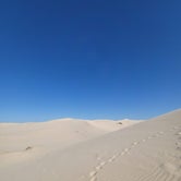 Review photo of Monahans Sandhills State Park by Shea M., April 29, 2020