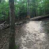 Review photo of Fall Creek Falls State Park Campground by Jessica L., July 28, 2016