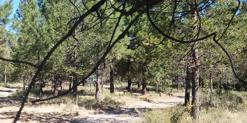 Camper submitted image from Rosland Campground - CLOSED