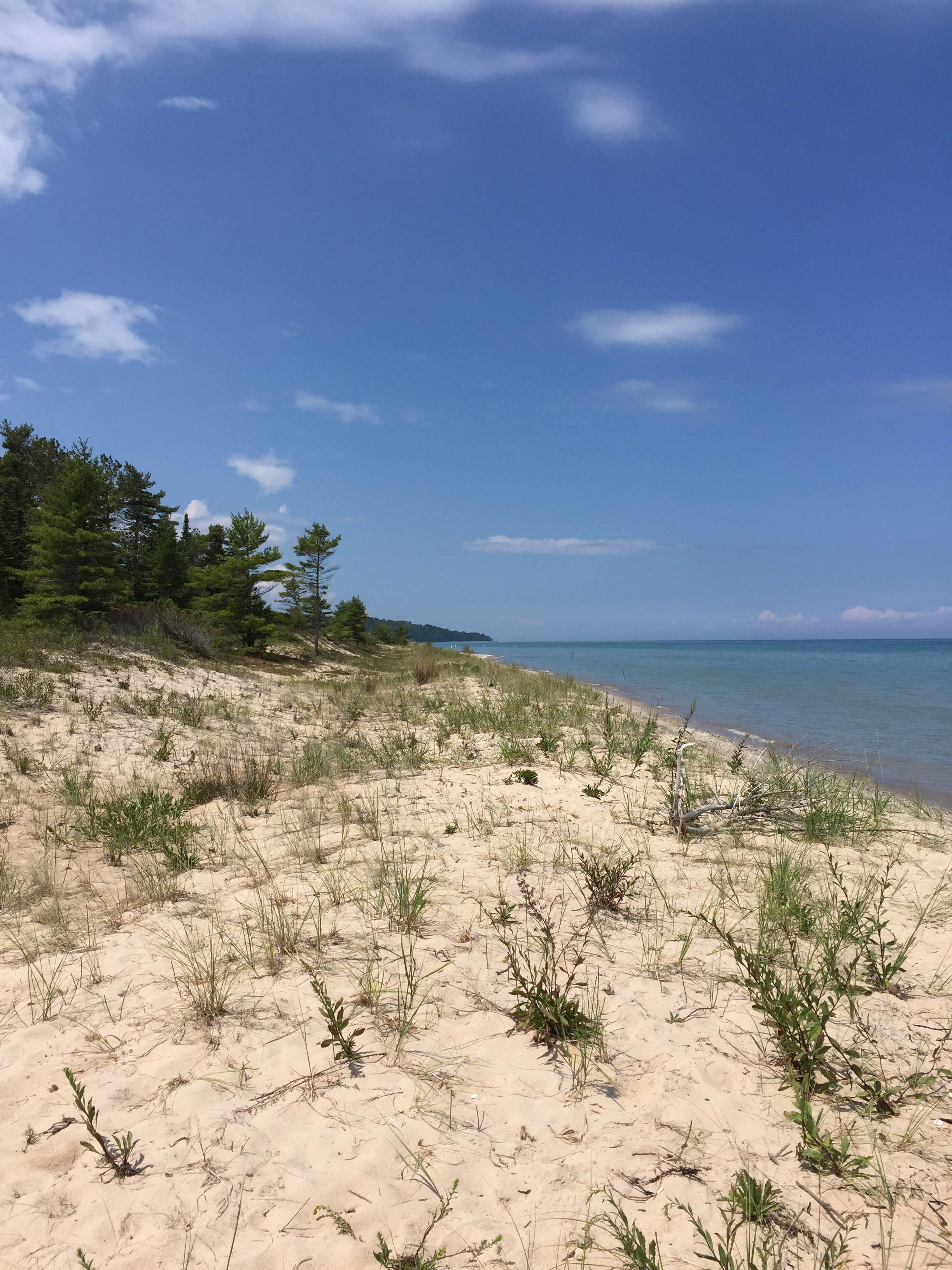 Hoeft State Park Campground Rogers City, MI