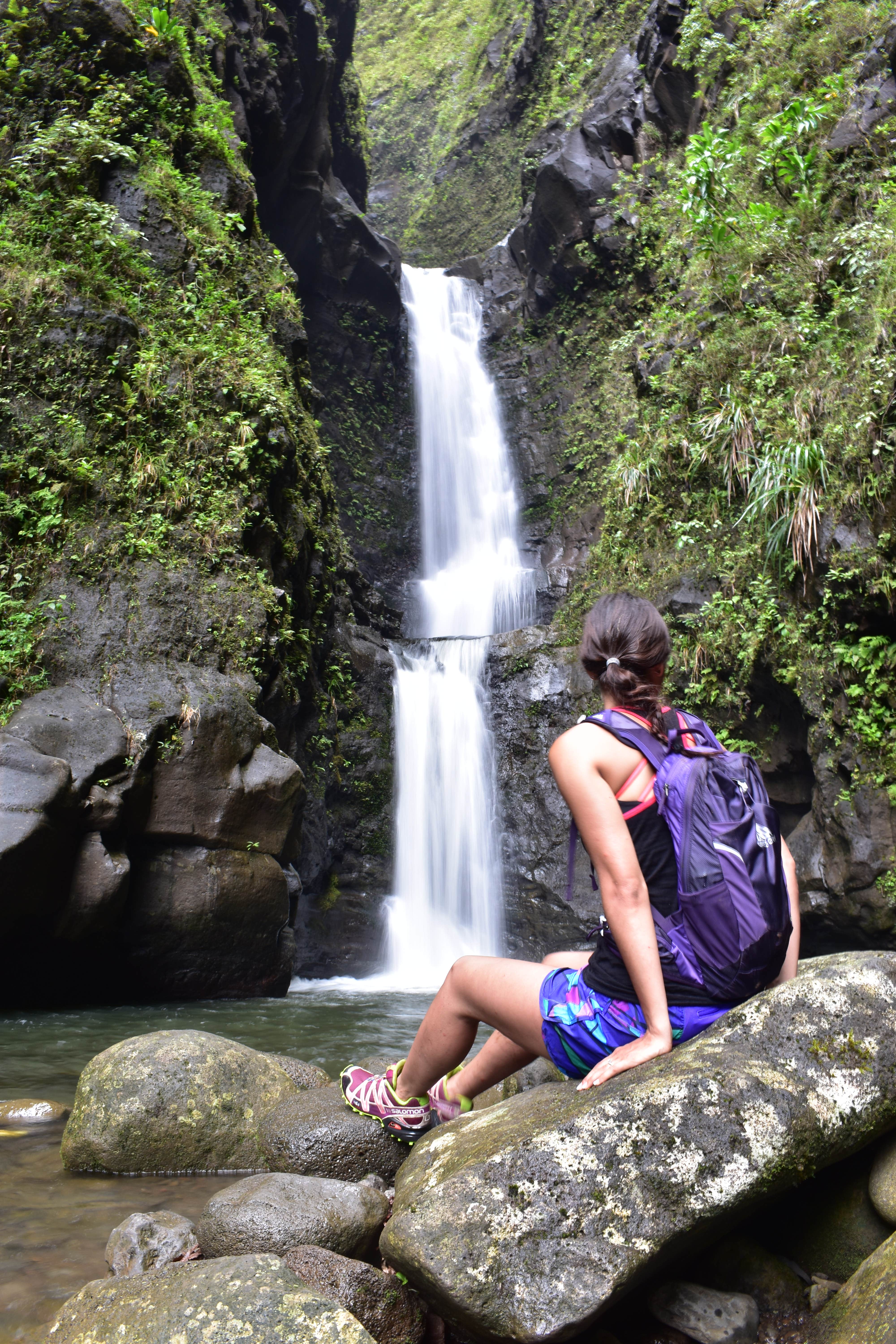 Camper submitted image from Hawaii County Park Kolekole Gulch Park - TEMPRORARILY CLOSED TO CAMPING - 3