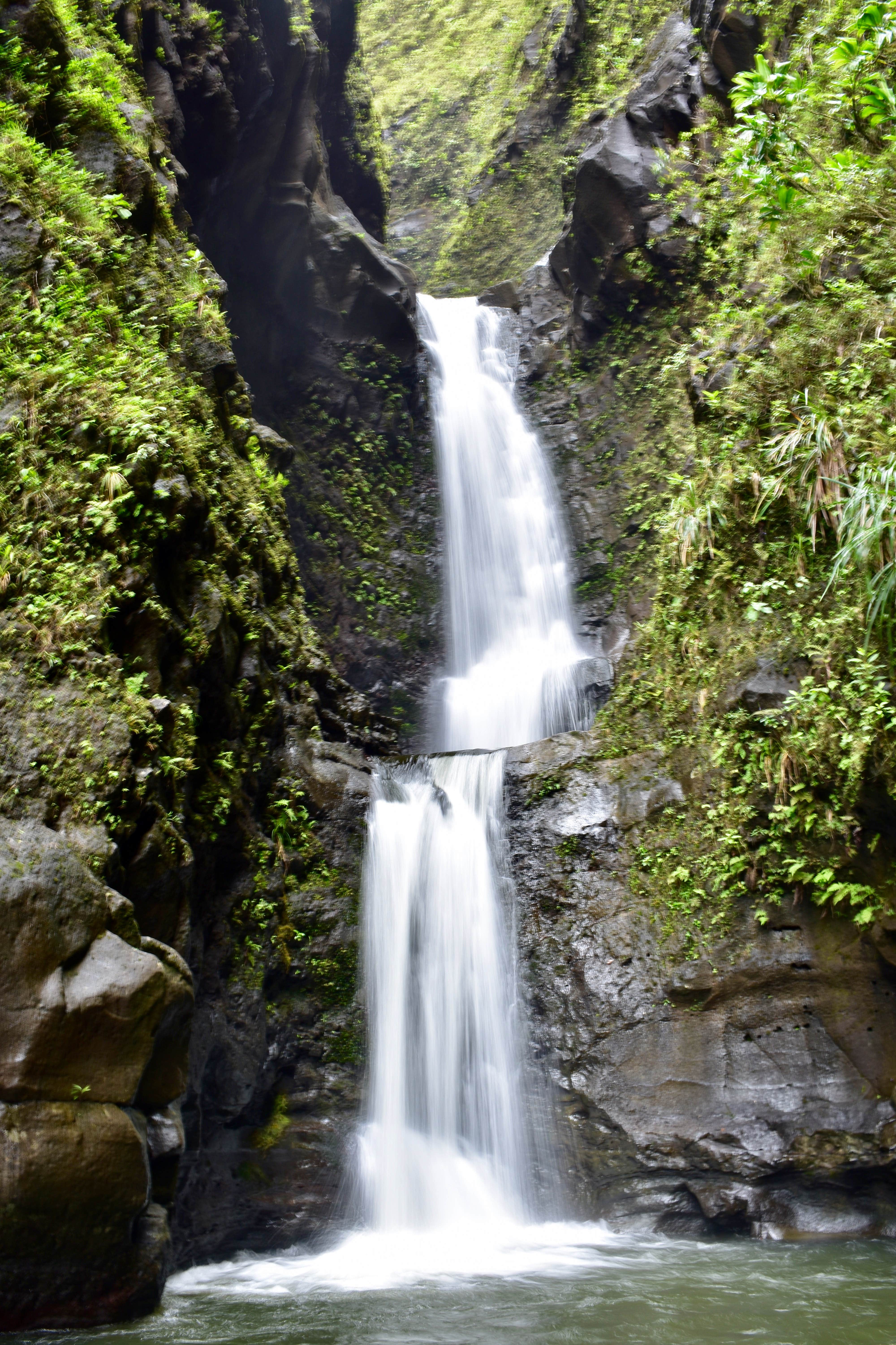 Camper-submitted photo at Hawaii County Park Kolekole Gulch Park - TEMPRORARILY CLOSED TO CAMPING near Hilo, HI