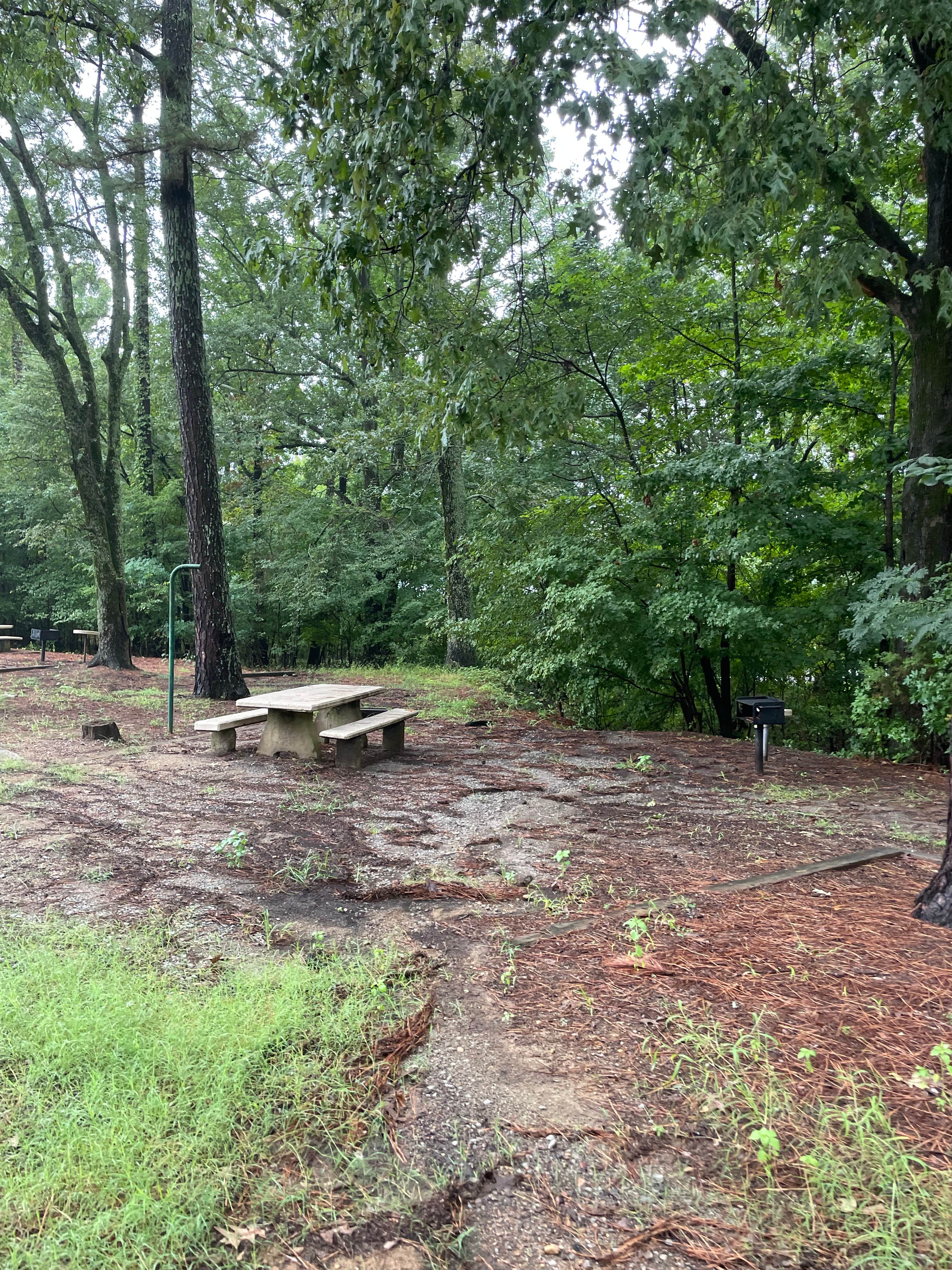 Camper-submitted photo at Pleasant Hill Campground near Lake Cormorant, MS