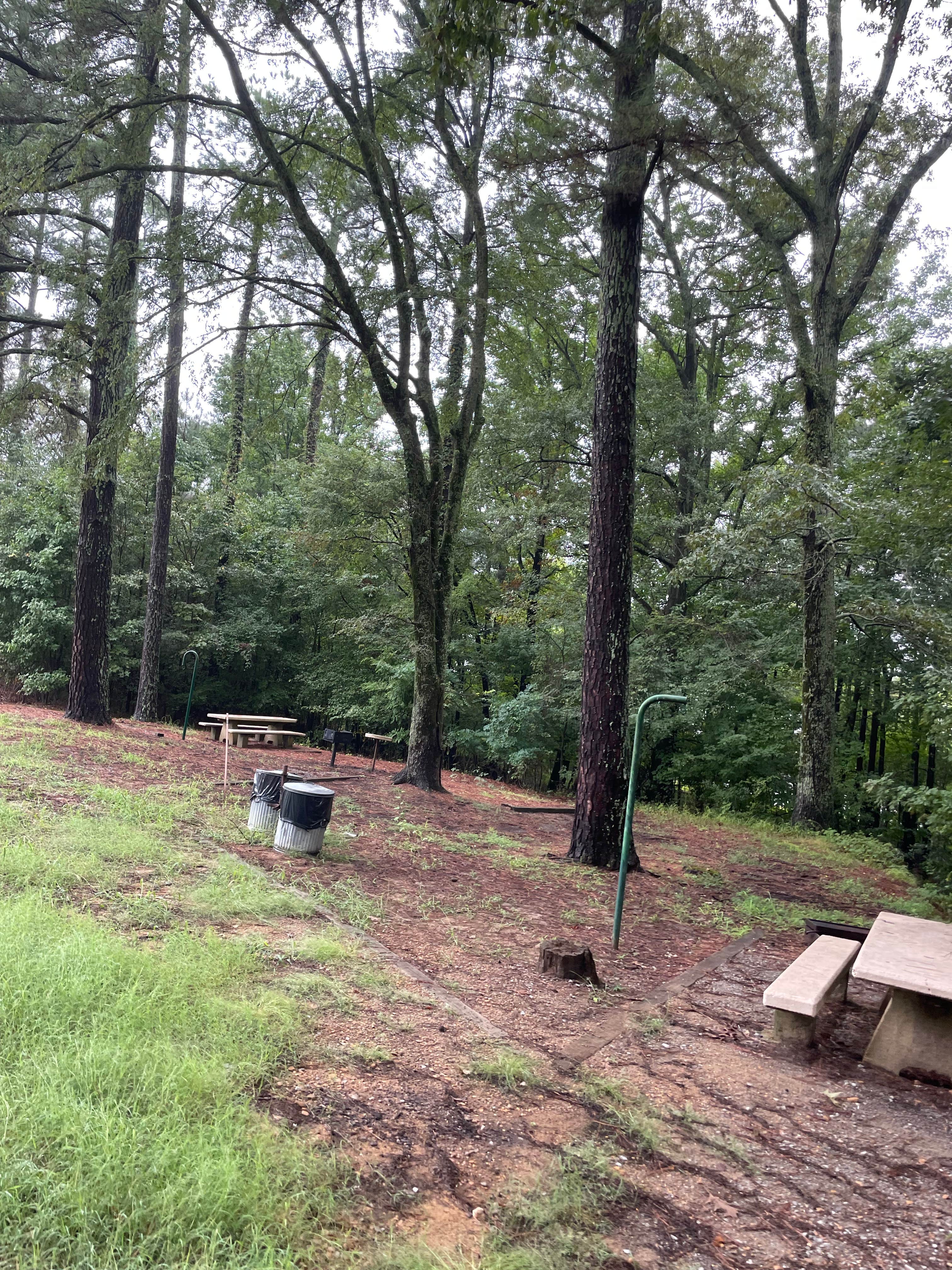 Camper-submitted photo at Pleasant Hill Campground near Lake Cormorant, MS