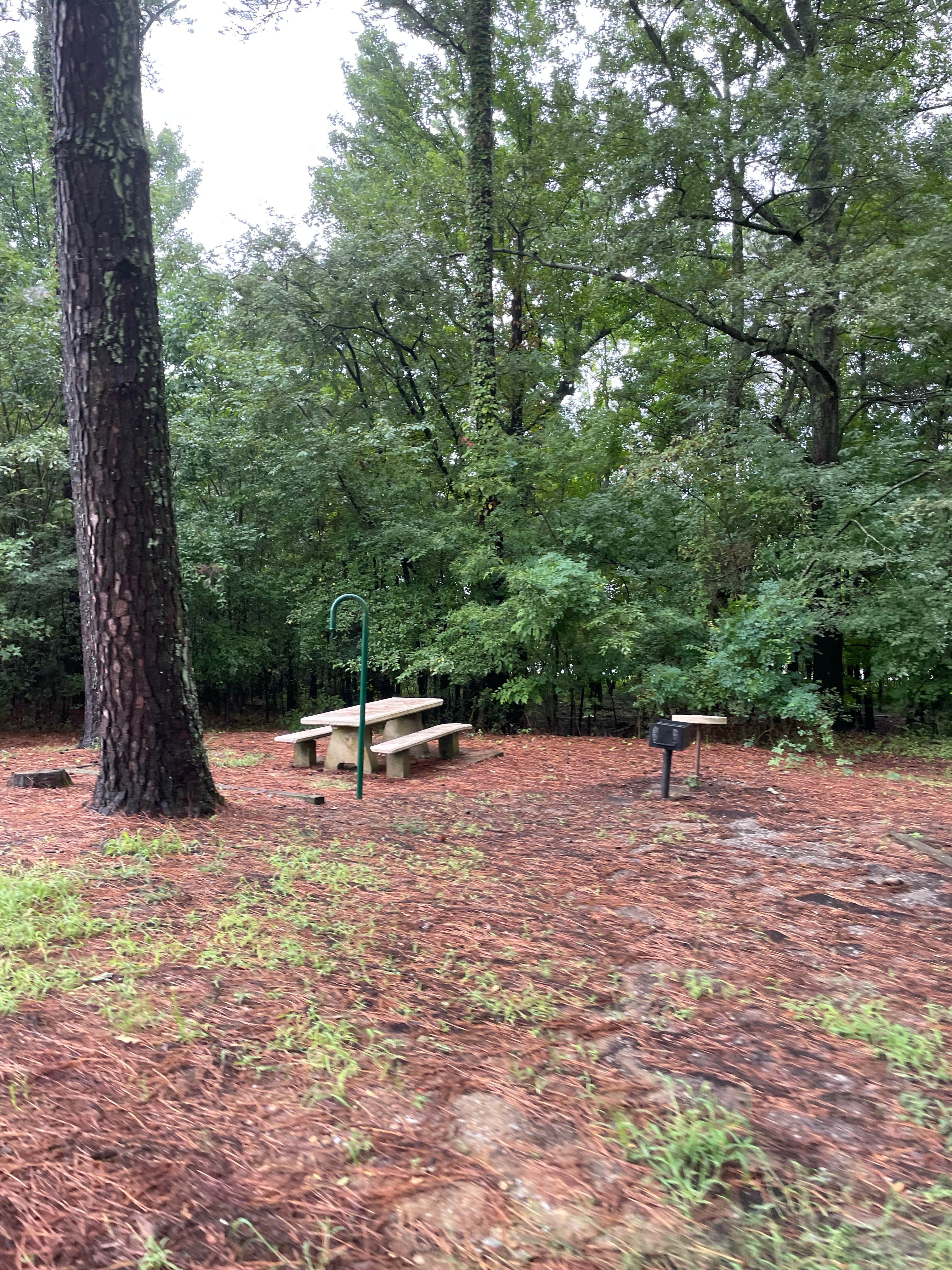 Camper-submitted photo at Pleasant Hill Campground near Lake Cormorant, MS
