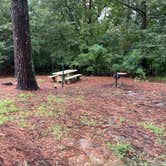 Review photo of Pleasant Hill Campground by Shana D., September 9, 2022