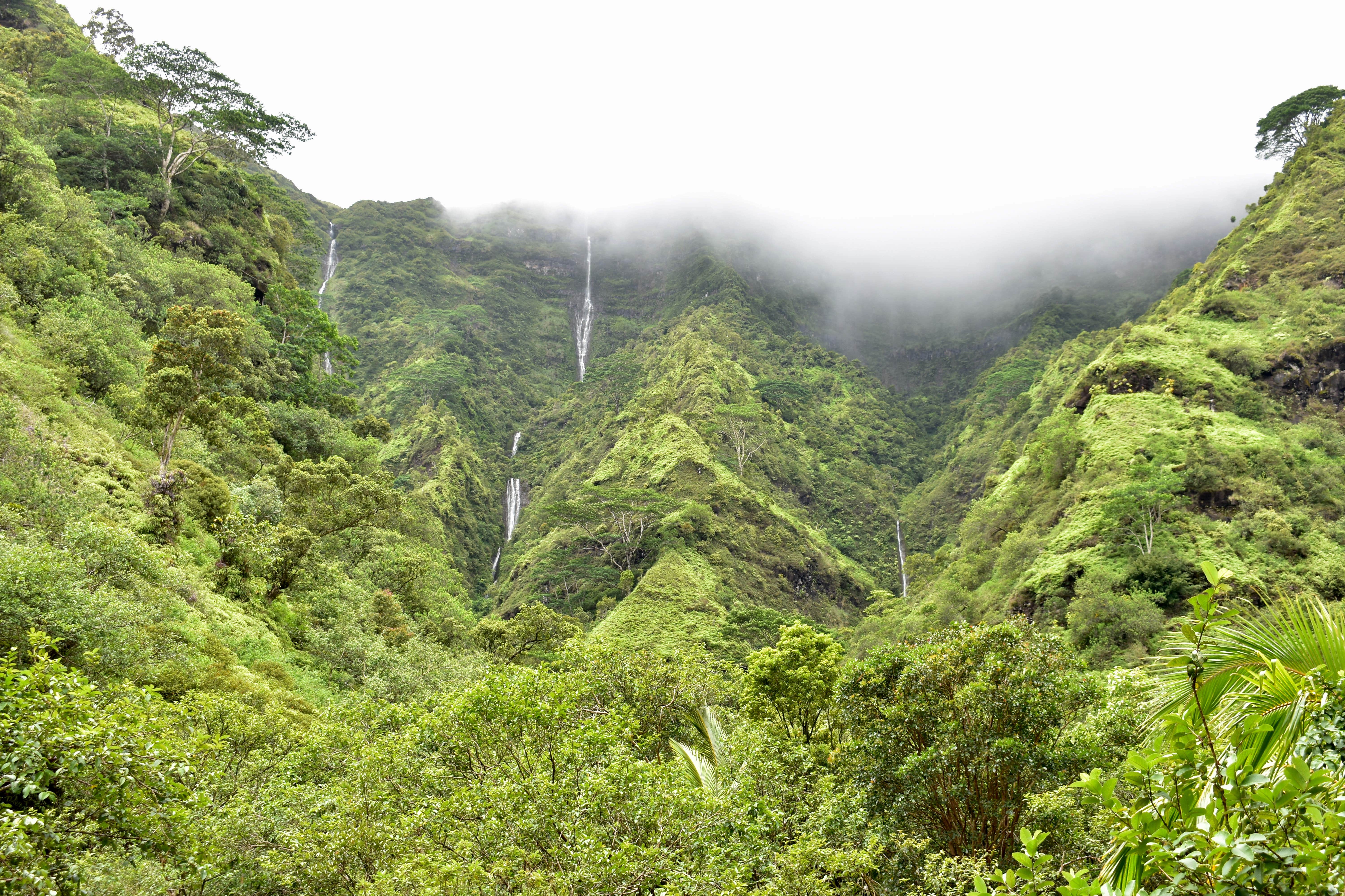 Camper-submitted photo at Hawaii County Park Kolekole Gulch Park - TEMPRORARILY CLOSED TO CAMPING near Hilo, HI