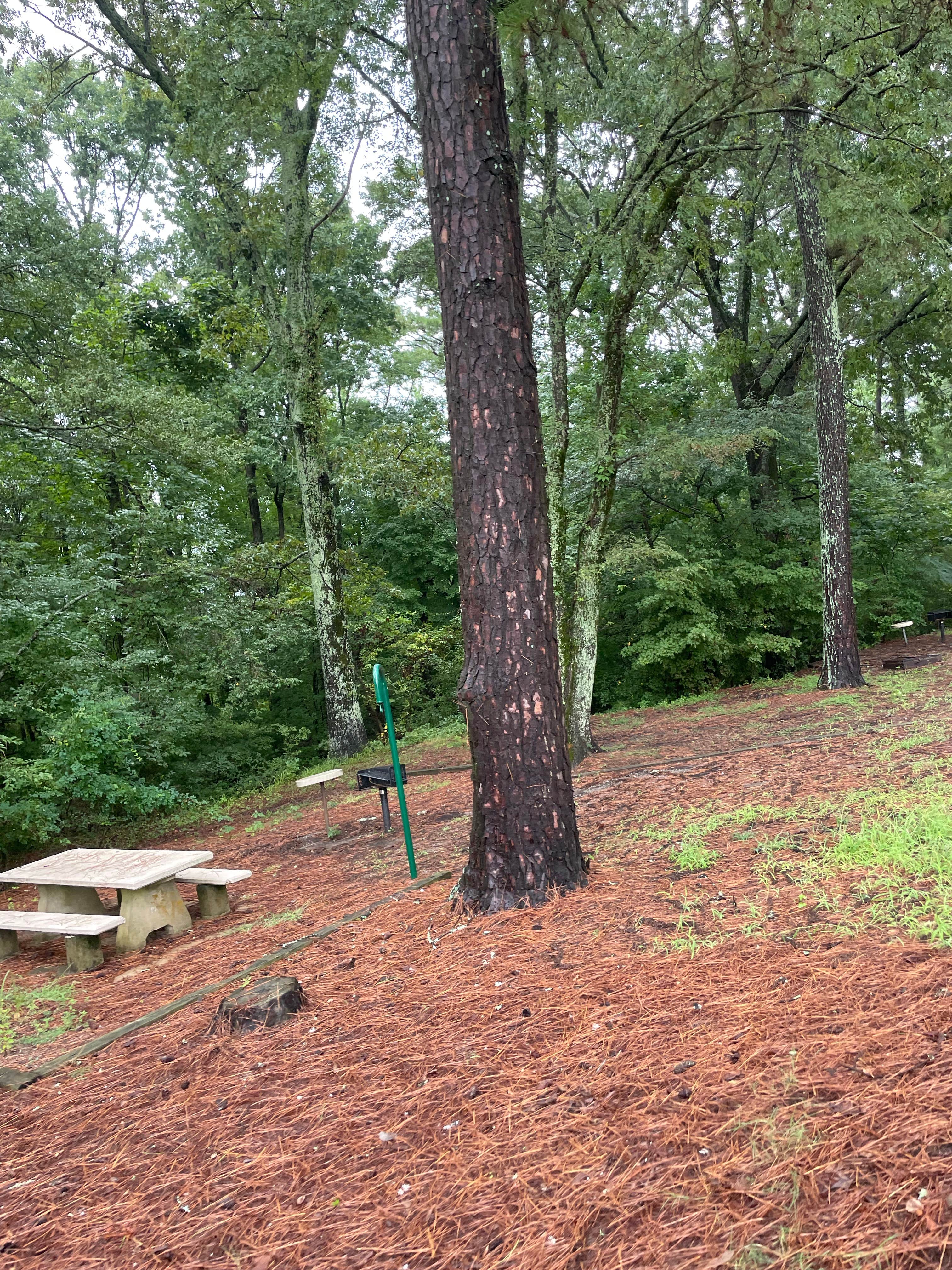 Camper-submitted photo at Pleasant Hill Campground near Lake Cormorant, MS