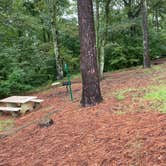 Review photo of Pleasant Hill Campground by Shana D., September 9, 2022