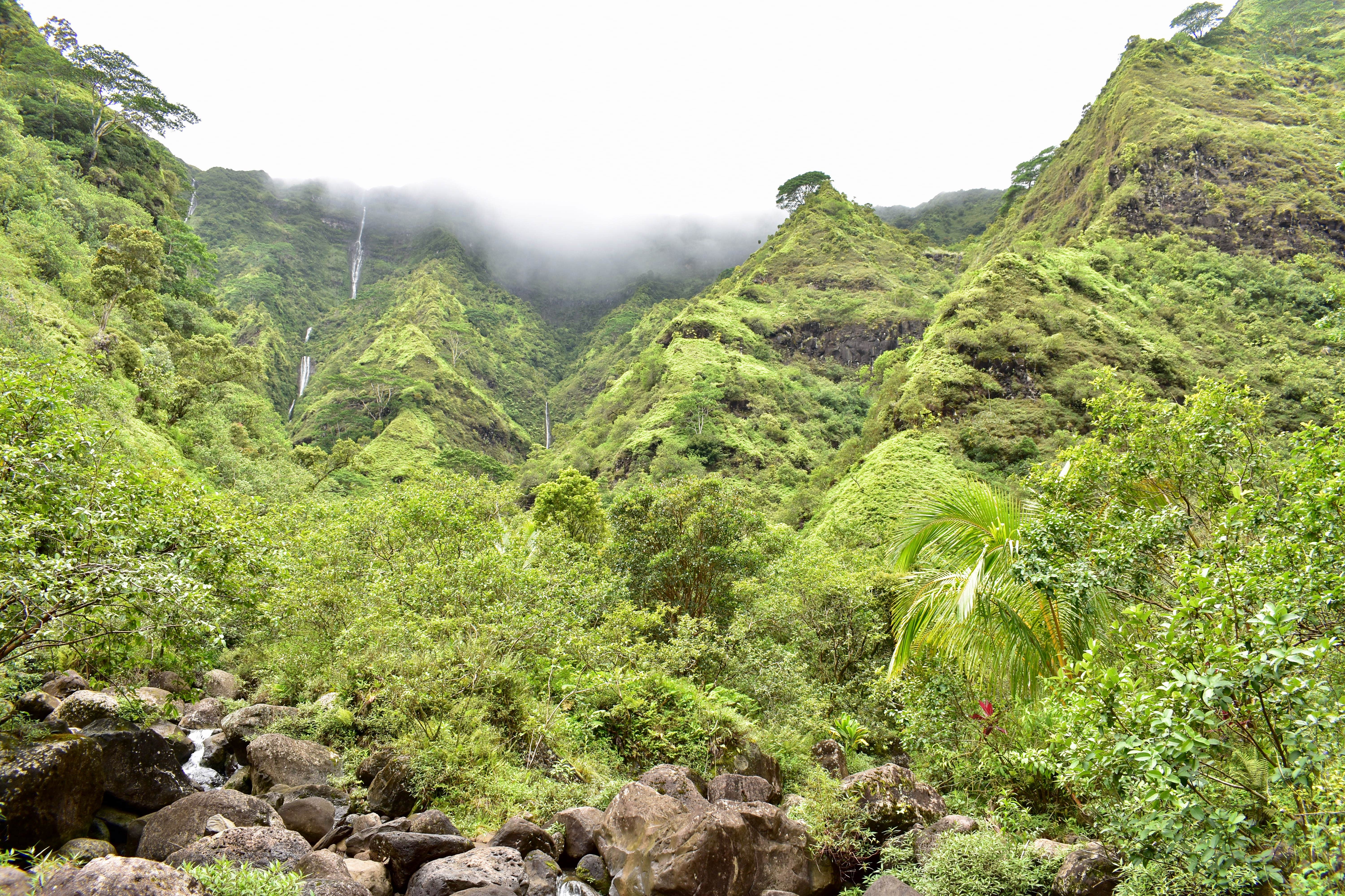 Camper-submitted photo at Hawaii County Park Kolekole Gulch Park - TEMPRORARILY CLOSED TO CAMPING near Hilo, HI