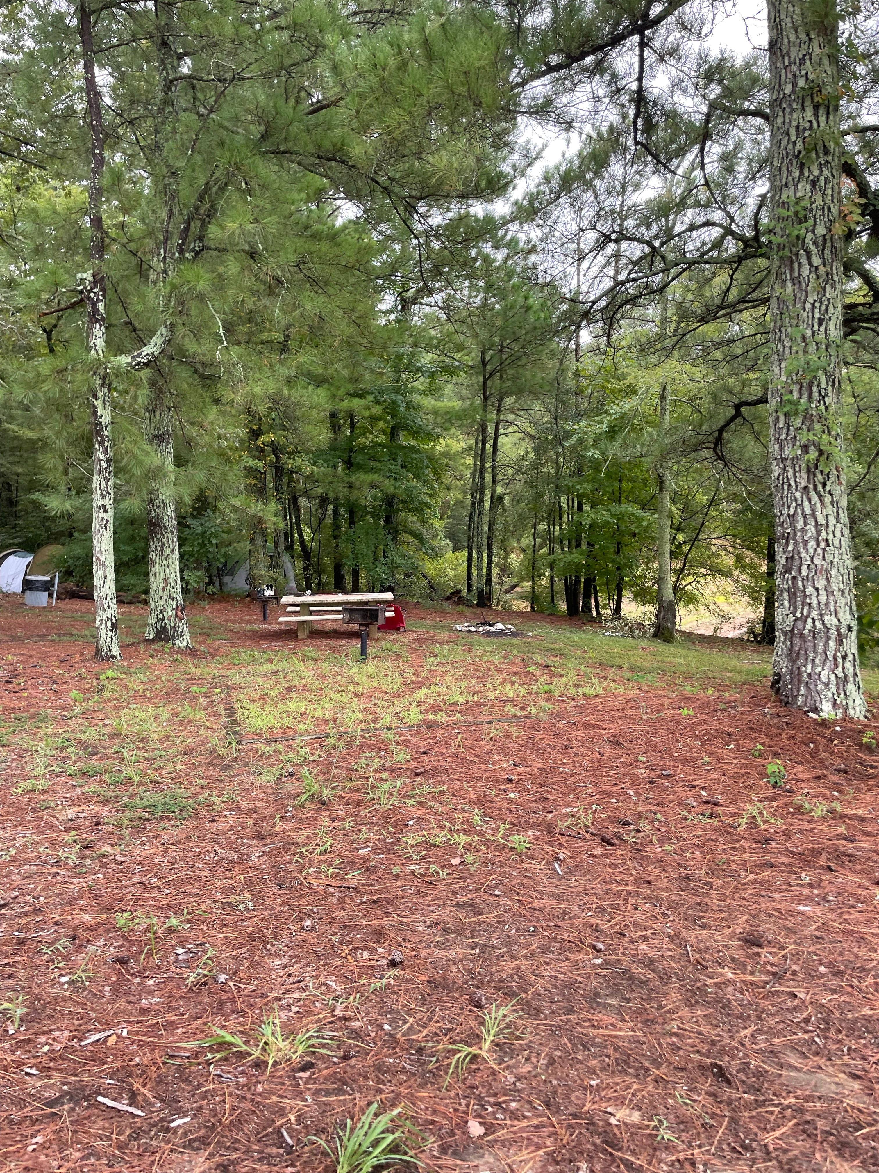 Camper submitted image from Kellys Crossing Campground - 1