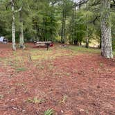 Review photo of Kellys Crossing Campground by Shana D., September 9, 2022