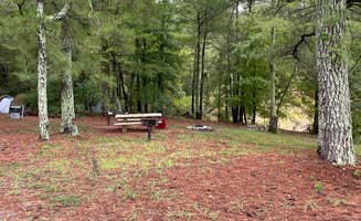 Shana D.'s photo at Kellys Crossing Campground near Germantown, TN