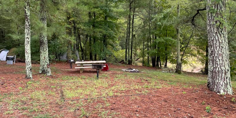 Camper submitted image from Kellys Crossing Campground