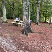 Review photo of Kellys Crossing Campground by Shana D., September 9, 2022