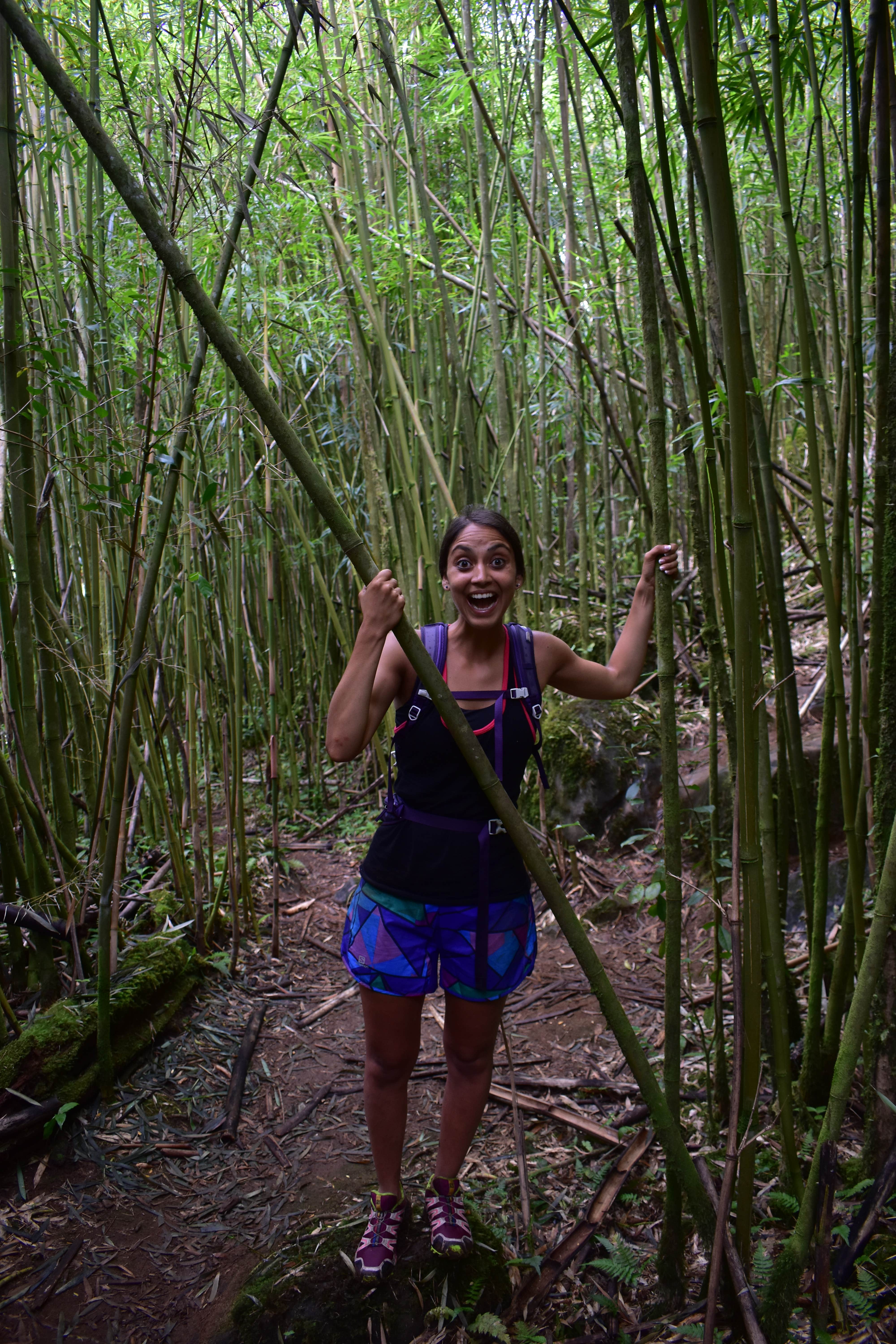 Camper-submitted photo at Hawaii County Park Kolekole Gulch Park - TEMPRORARILY CLOSED TO CAMPING near Hilo, HI