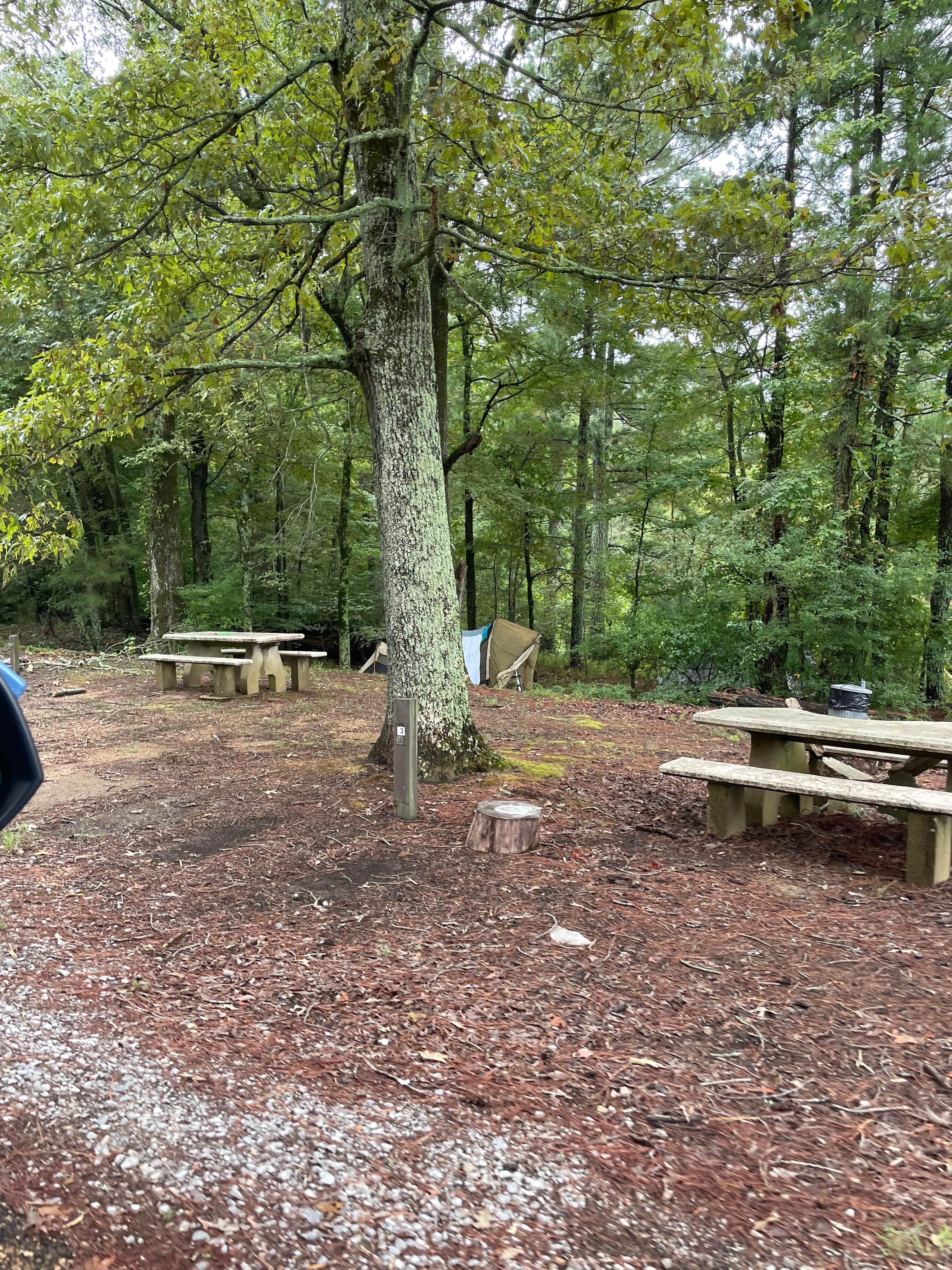 Camper-submitted photo at Kellys Crossing Campground near Lake Cormorant, MS