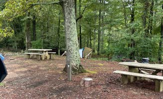 Shana D.'s photo at Kellys Crossing Campground near Sardis, MS