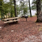 Review photo of Kellys Crossing Campground by Shana D., September 9, 2022