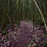 Review photo of Hawaii County Park Kolekole Gulch Park - TEMPRORARILY CLOSED TO CAMPING by Sasha W., July 25, 2018