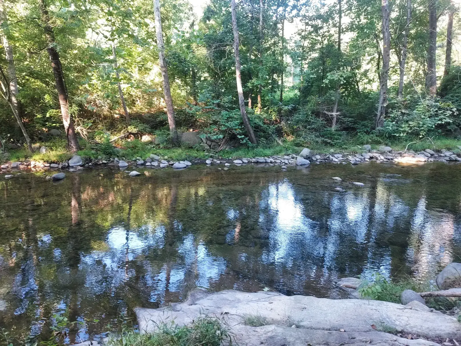Camper-submitted photo at Williams Riverside Cabin near Lovingston, VA