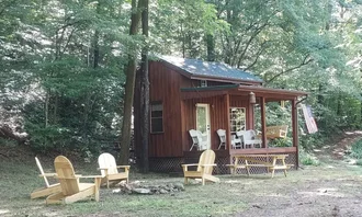 Camping near George Washington National Forest Sherando Lake Campground: Williams Riverside Cabin , Tyro, Virginia