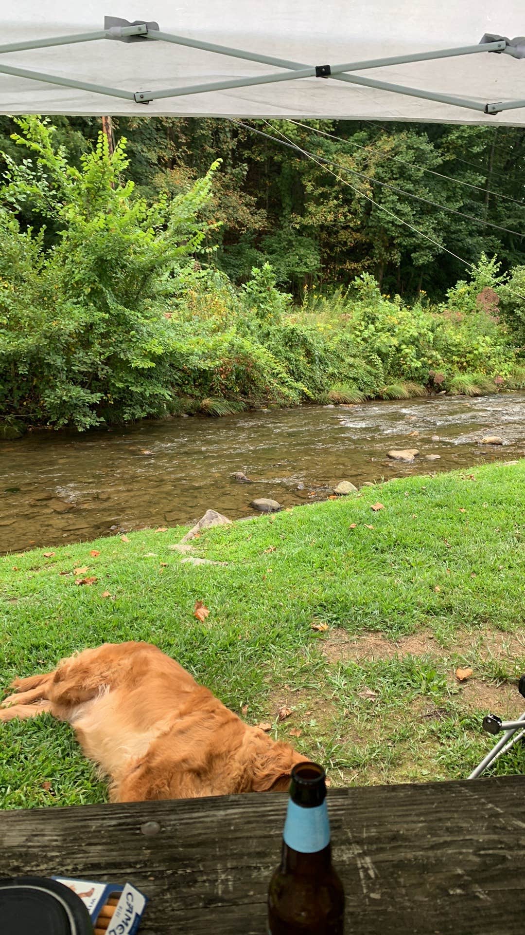 Stevan B.'s photo of camping with pets at Happy Holiday RV Village near Sylva, NC