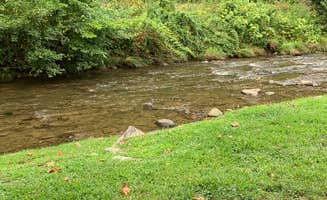 Stevan B.'s photo of camping with pets at Happy Holiday RV Village near Cherokee, NC