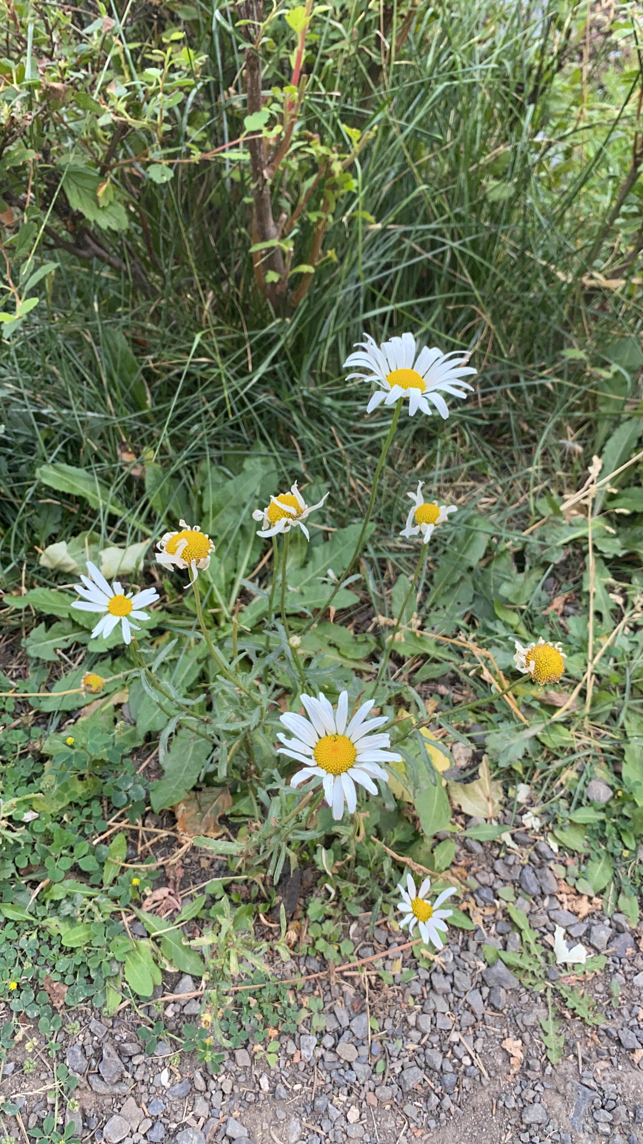 Jubilee Lake Camping Union, OR