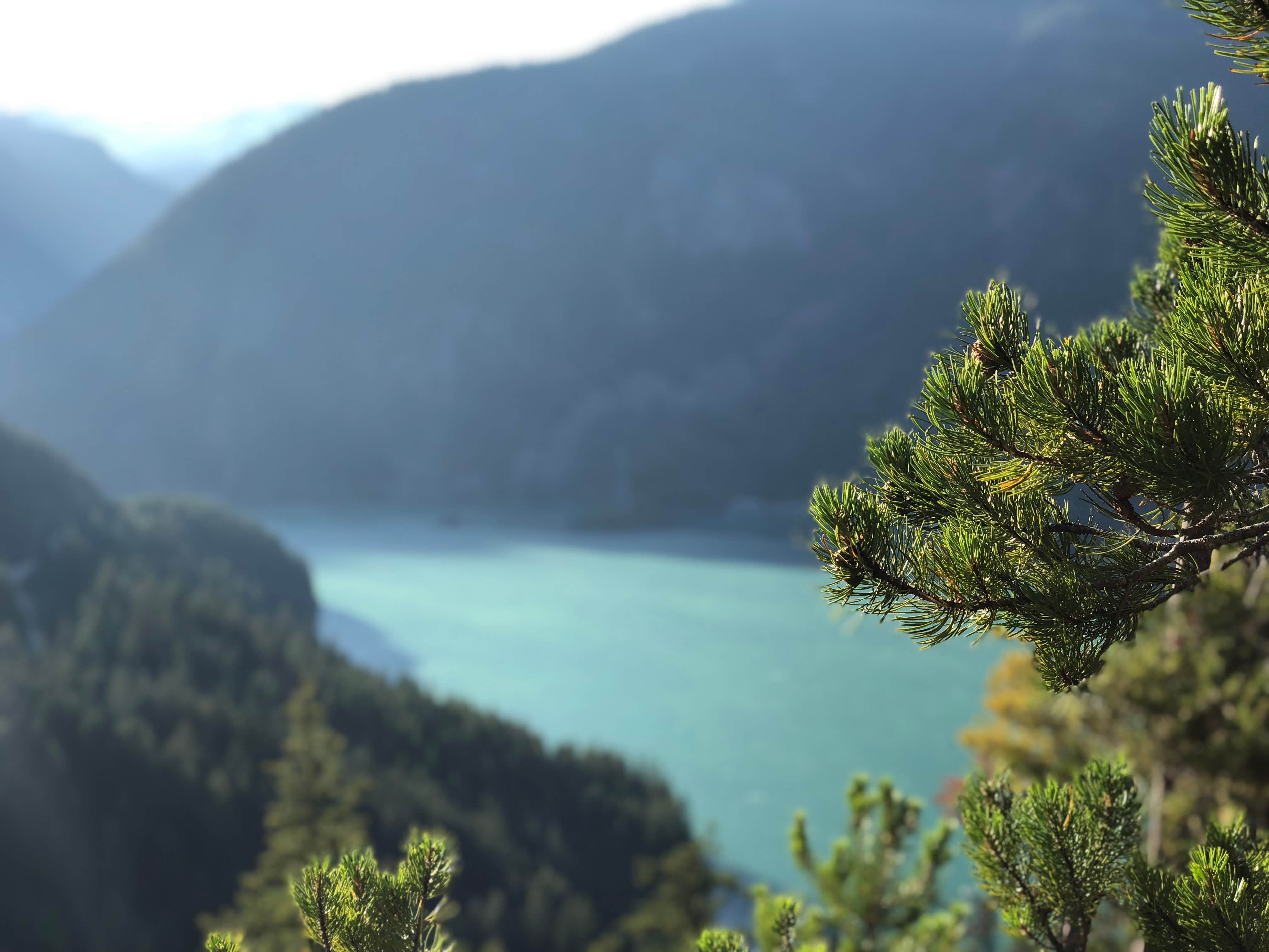 Camper submitted image from Bridge Creek Campground (North Cascades) - 3