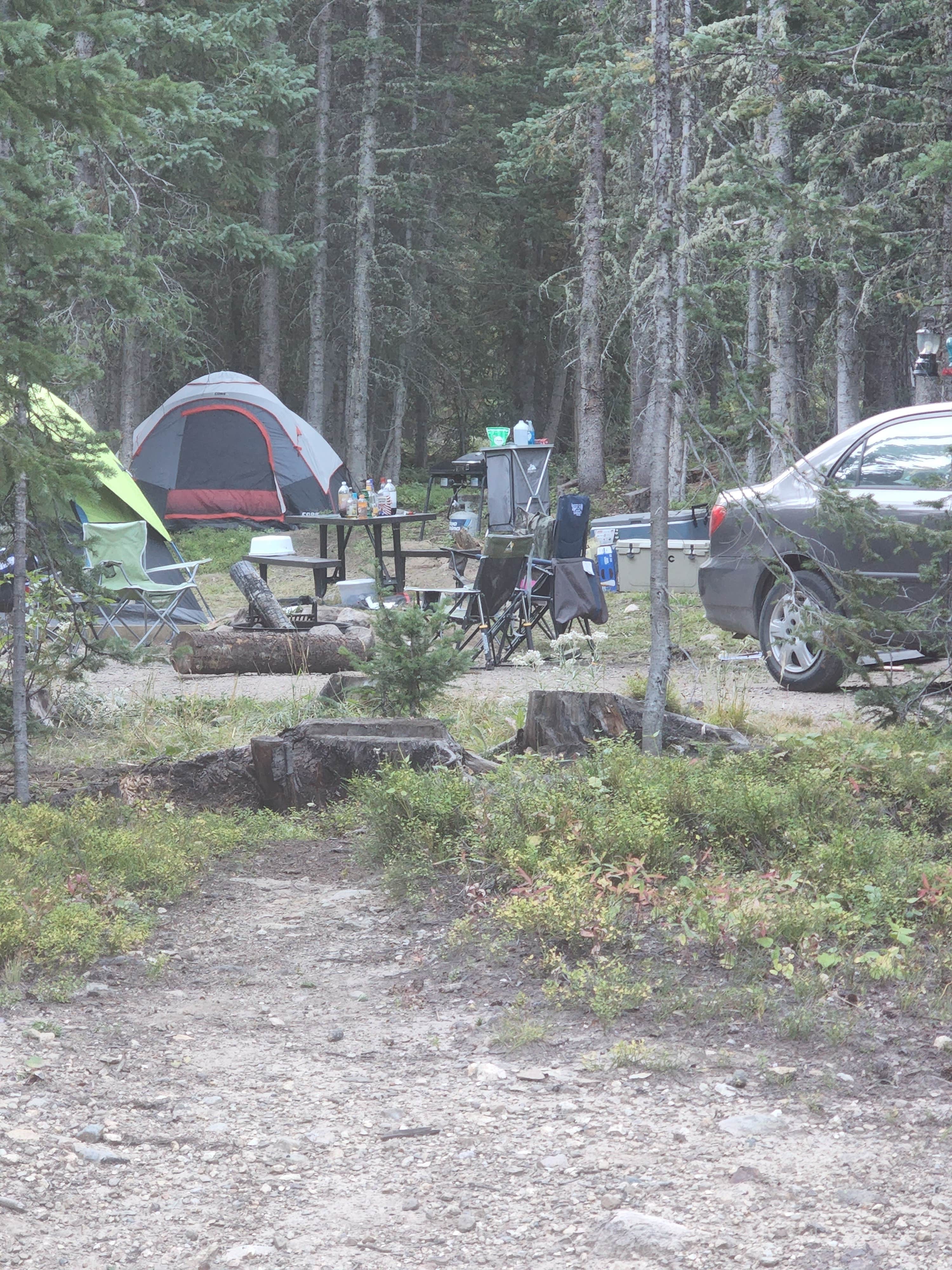 Glenna L.'s photo of tent camping at The Crags Campground — State Forest State Park near Rand, CO