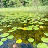 Review photo of Guernsey Lake State Forest Campground by Nikki .., September 10, 2022