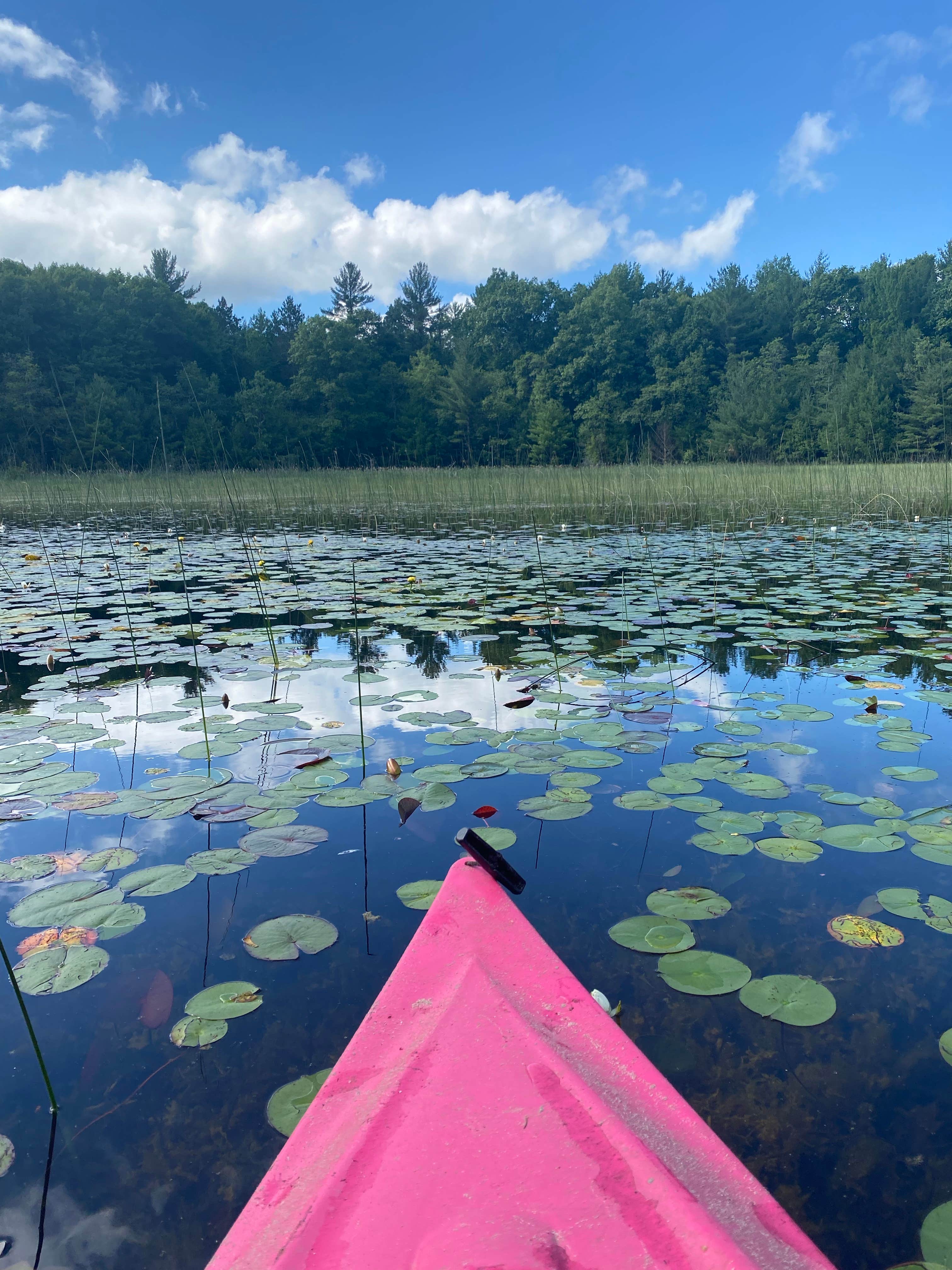 Camper-submitted photo at Guernsey Lake State Forest Campground near Alden, MI