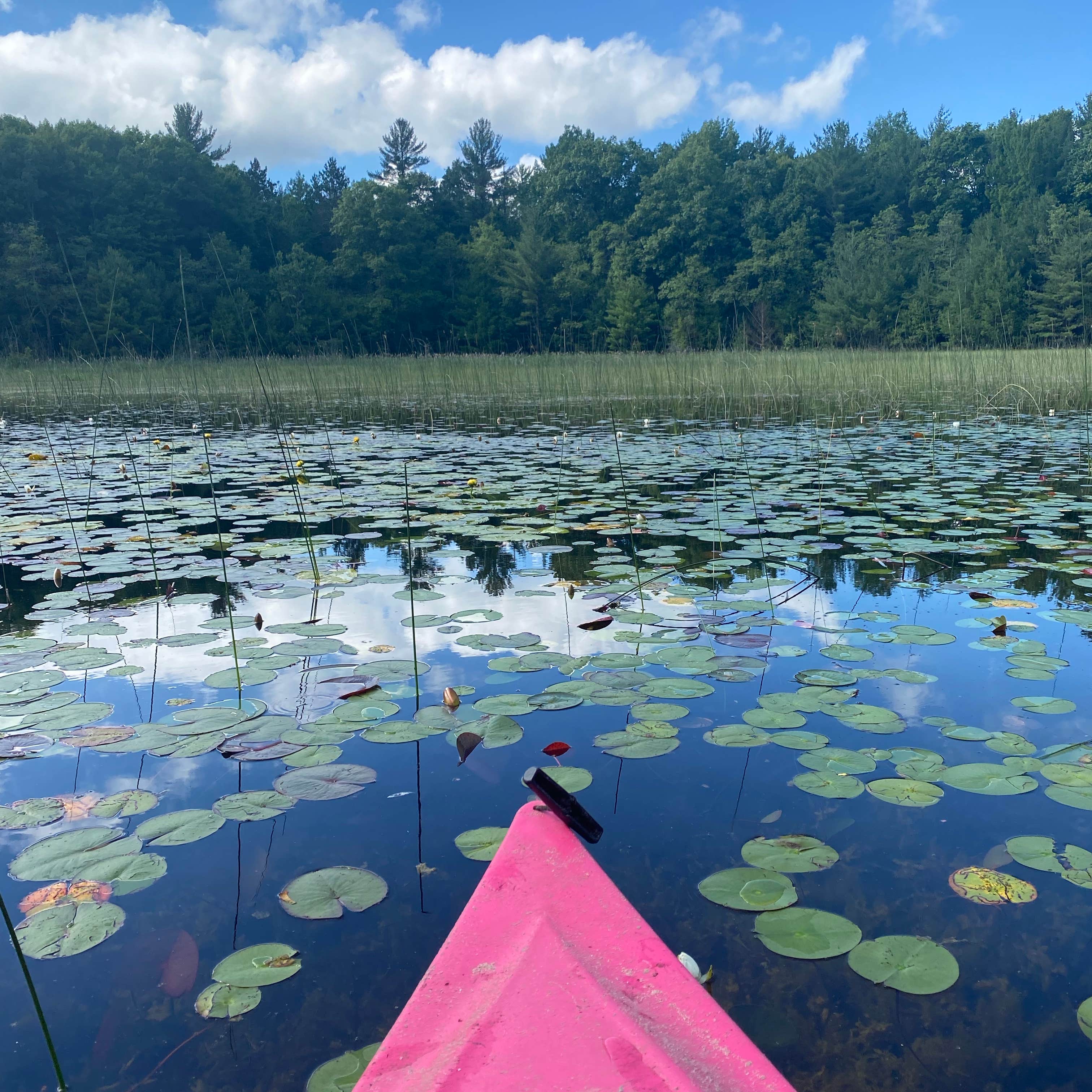 Escape To Guernsey Lake: Your Michigan Adventure Awaits!