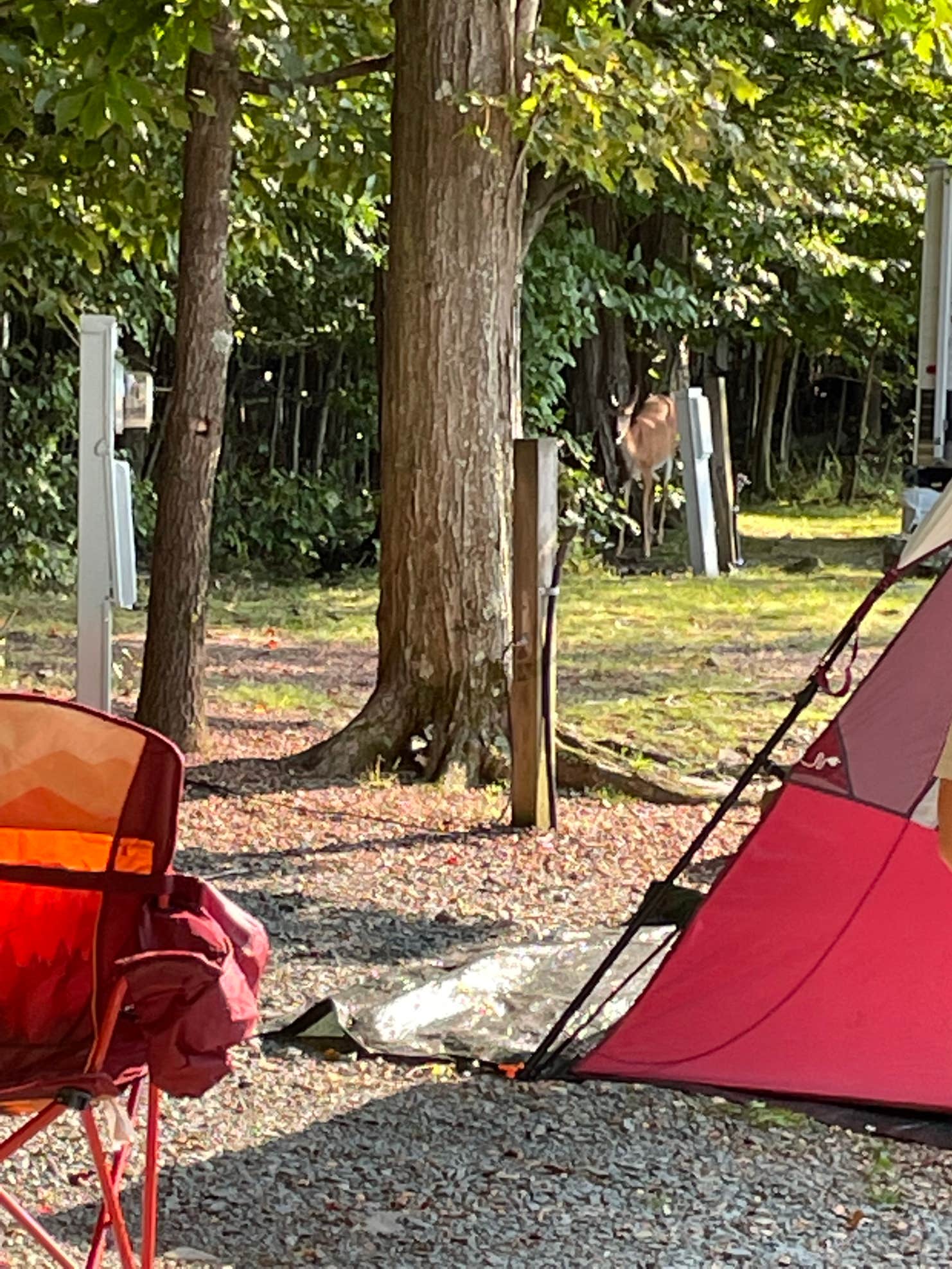 Secluded Acres Campground Camping The Dyrt
