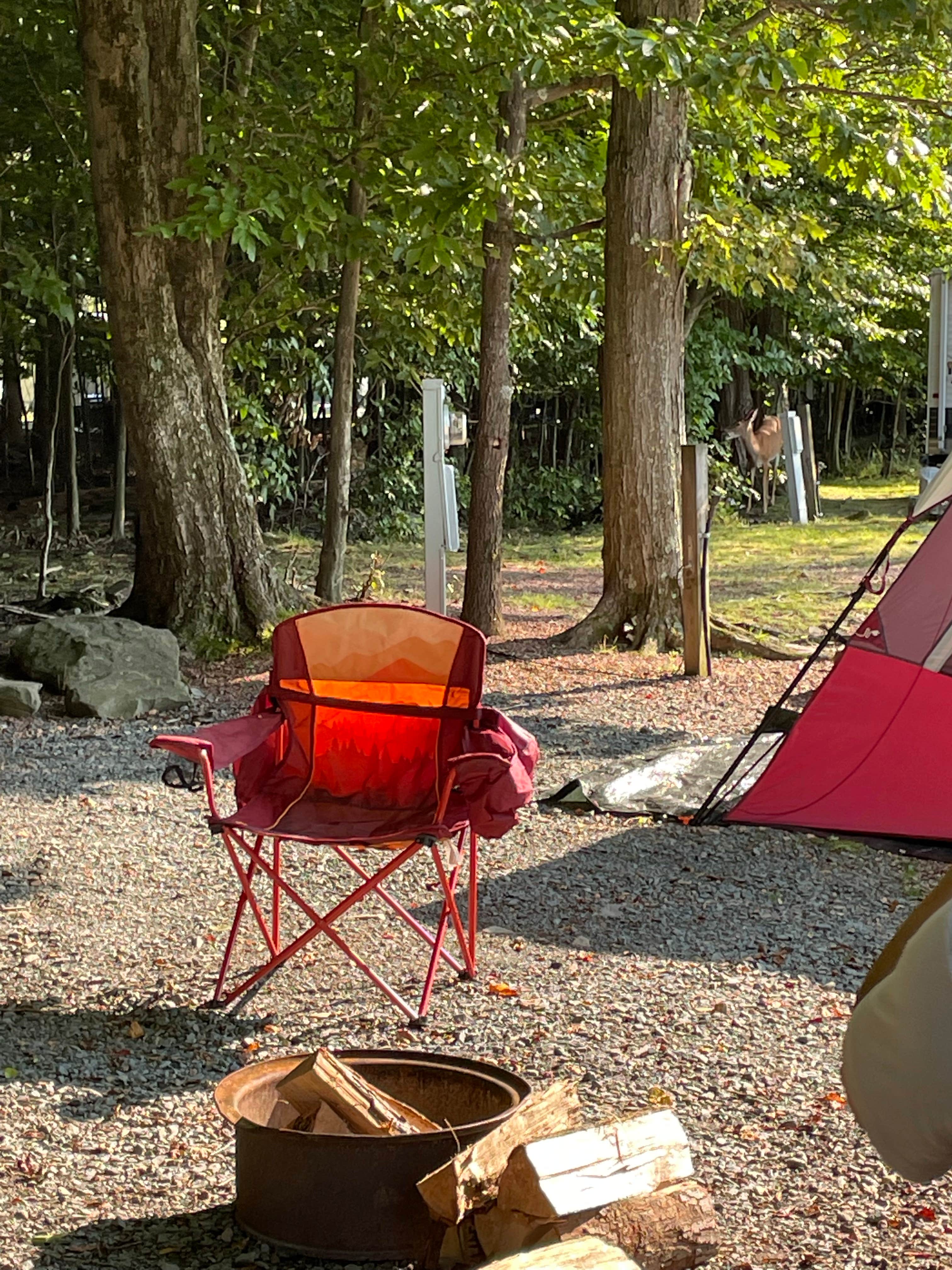 Camper-submitted photo at Secluded Acres Campground near Hawley, PA