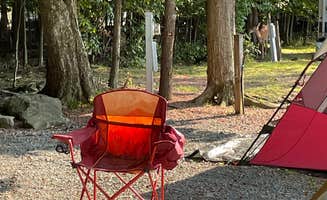 Luis B.'s photo at Secluded Acres Campground near Beach Lake, PA