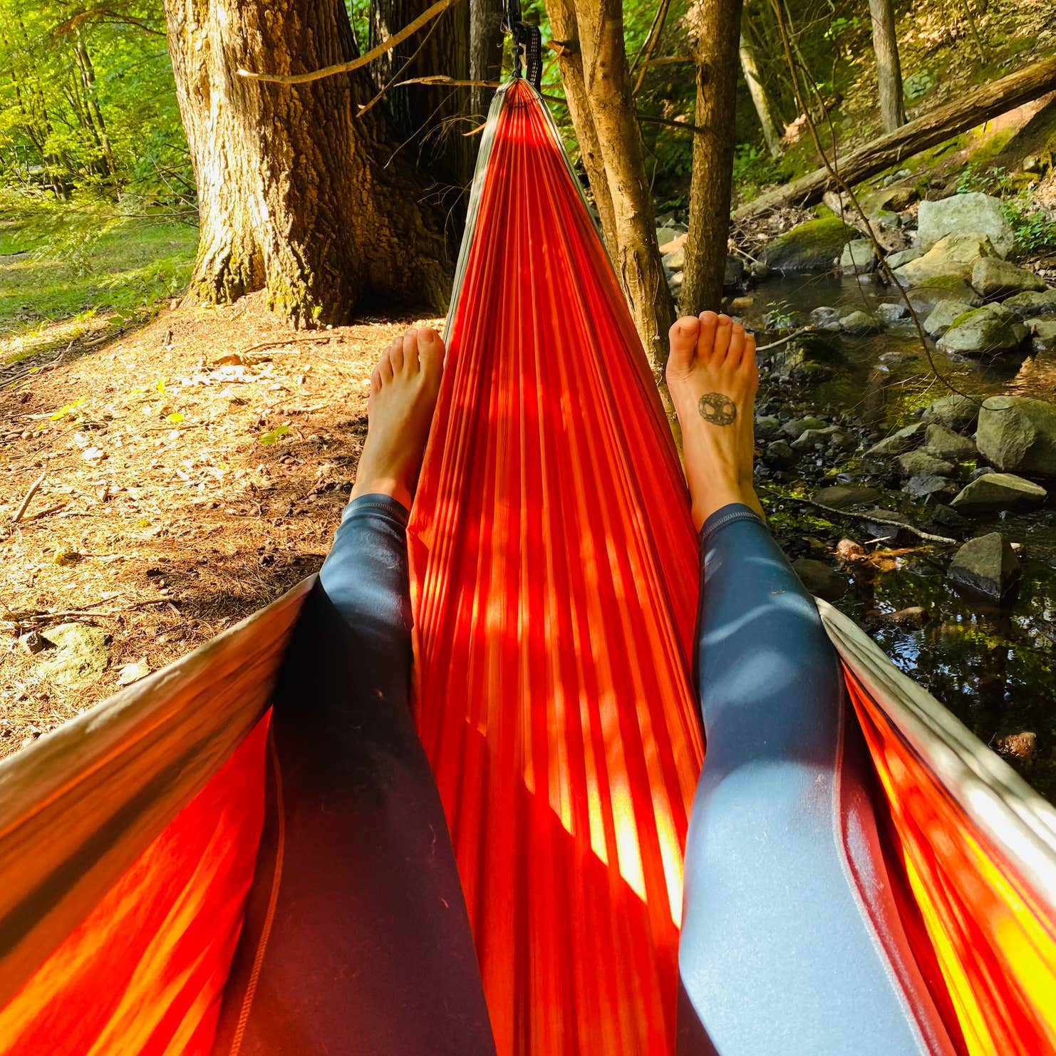 Gunstock Campground Gilford, NH