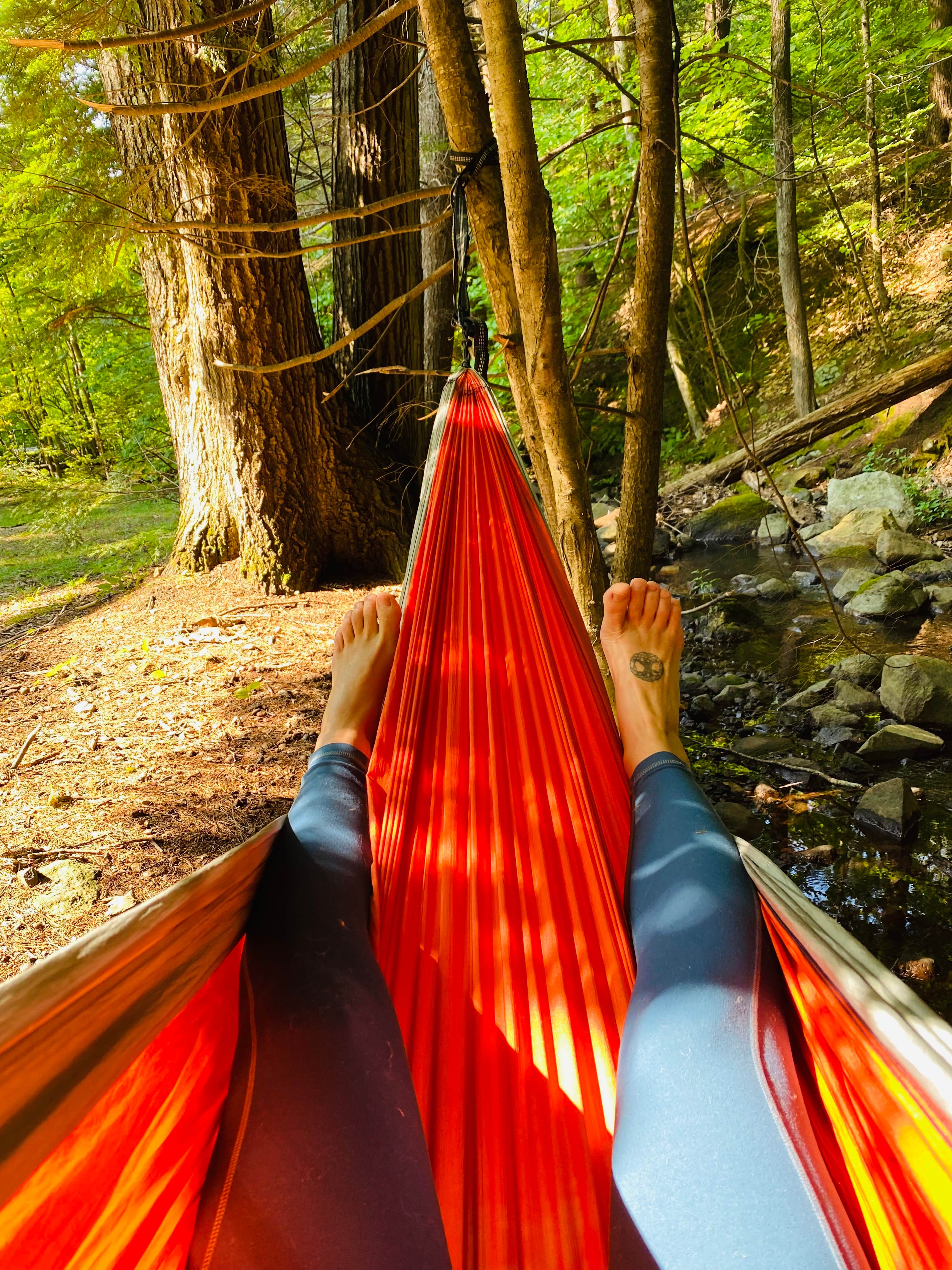 Camper submitted image from Gunstock Campground - 4