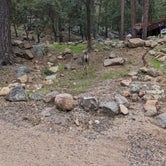 Review photo of Hualapai Mountain Park by Andrew B., September 10, 2022