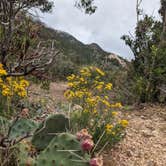 Review photo of Hualapai Mountain Park by Andrew B., September 10, 2022