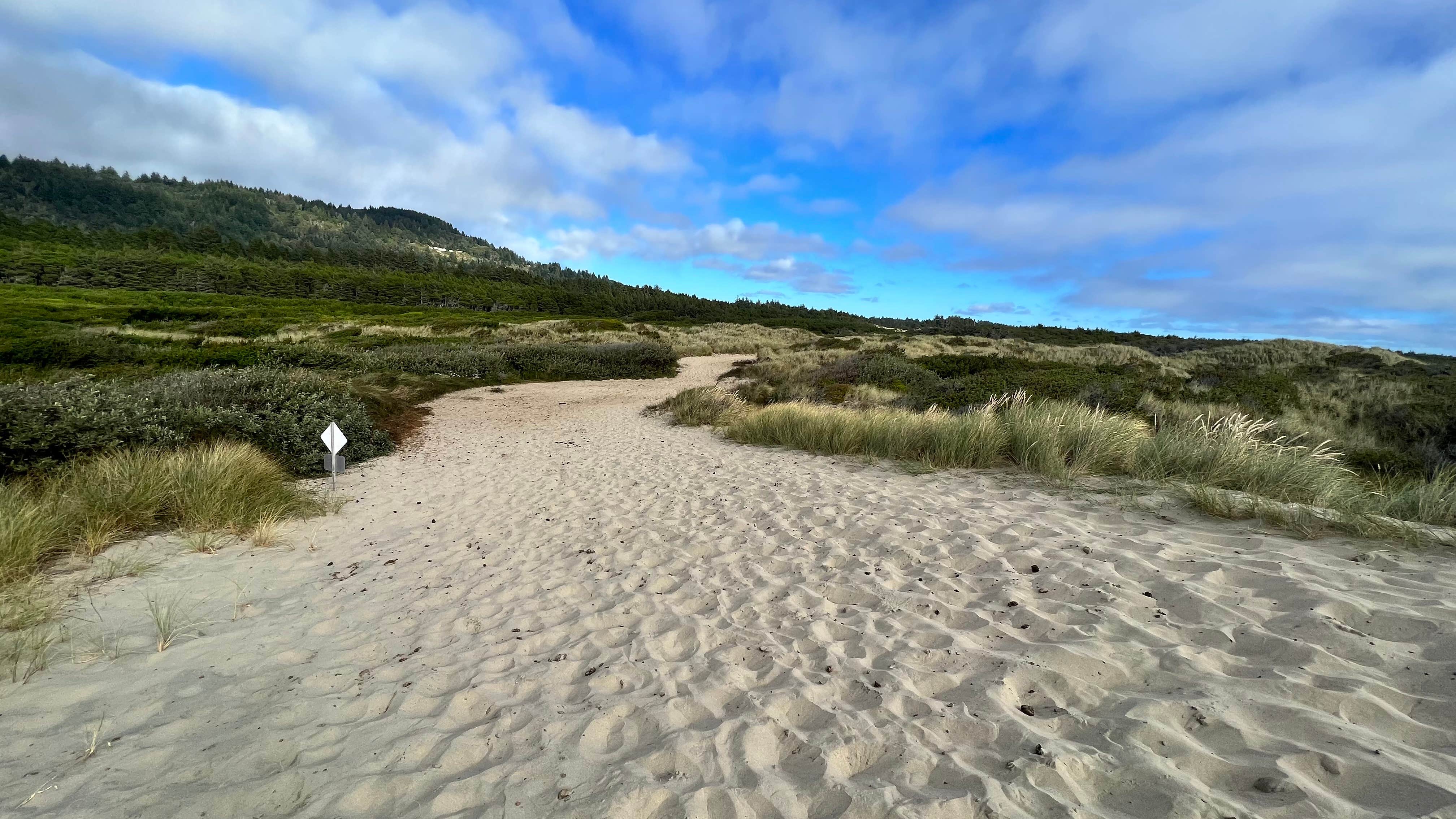 Camper-submitted photo at Baker Beach Campground near Fern Ridge Lake