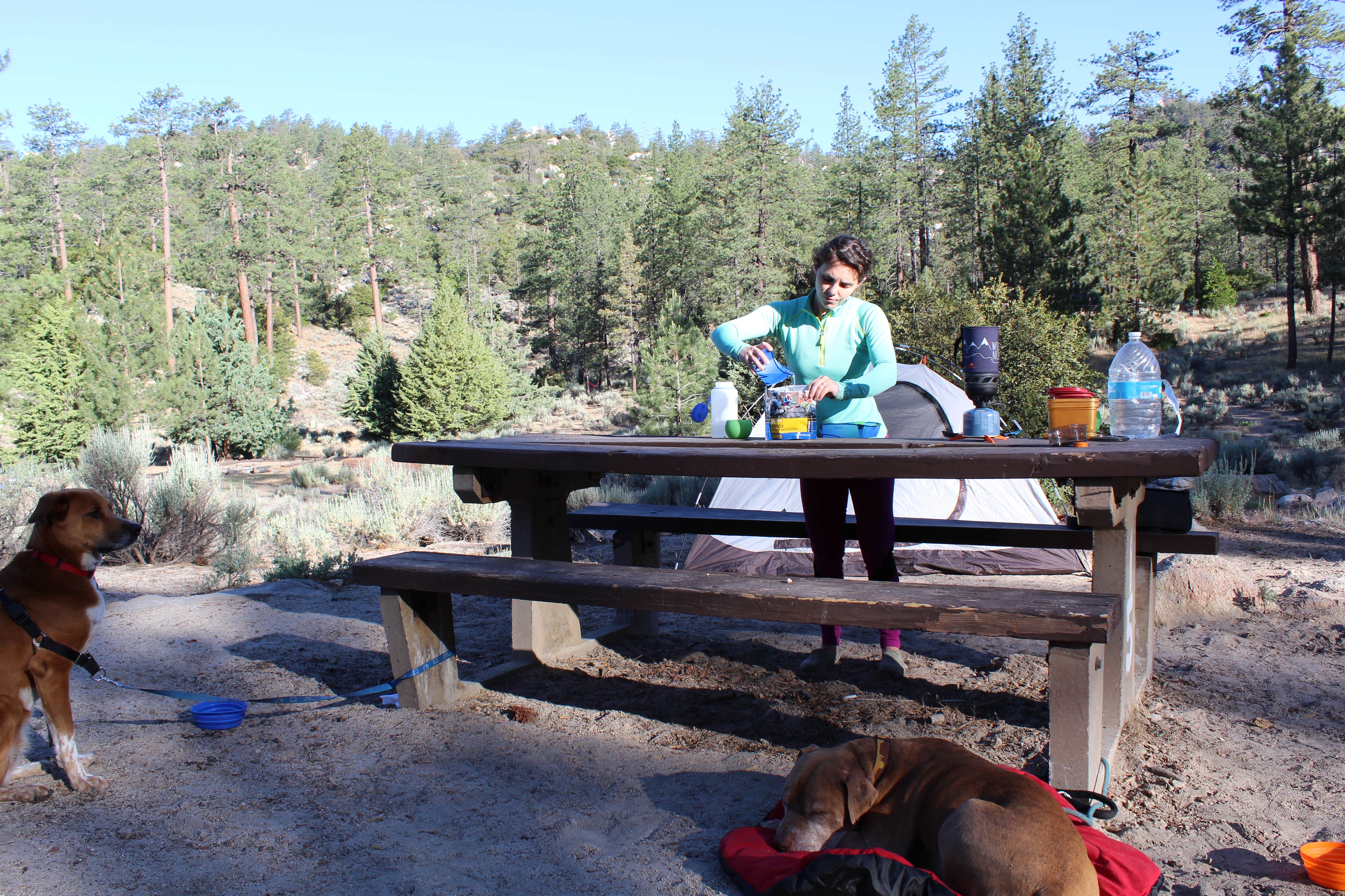 Les R.'s photo at Horse Flats Campground near Angeles National Forest