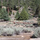 Review photo of Horse Flats Campground by Leslie R., July 25, 2018