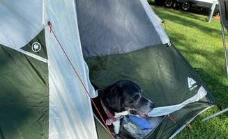Austin M.'s photo at Mounds State Park Campground near Ridgeville, IN