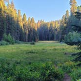Review photo of Lodgepole Campground — Sequoia National Park by Roger W., September 10, 2022